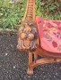 Старо столче., снимка 5