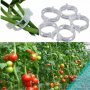 3691 Комплект 50 броя клипс за поддържане на домати и растения, снимка 10