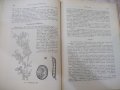 Книга "Растениевъдство - Христо Коеджиков" - 516 стр., снимка 6