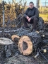 рязане на дърва за огрев и кастрене на дървета, снимка 8