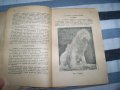 "Ловни кучета" от д-р Алекси Борисов, издание 1949г., снимка 5