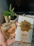 Женски парфюм Paris Riviera Joelle 100ml EDT Women Jadore, снимка 4