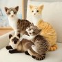 Плюшена Сиамска котка Американска късокосместа Котка 