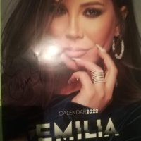 Търся този календар на Емилия от 2022 г, снимка 1 - Художествена литература - 44027232