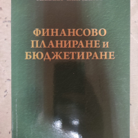 Михаил Чиприянов - Финансово планиране и бюджетиране, снимка 1 - Специализирана литература - 44892060