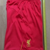 Liverpool / детски футболни шорти на ФК Ливърпул, снимка 7 - Детски къси панталони - 33204346