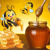Предлагам натурален полифлорен пчелен мед прополис и восък произведени в екологично чист район на с., снимка 6 - Пчелни продукти - 38156572