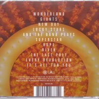 Take That – Wonderland (2017, CD), снимка 2 - CD дискове - 43900974