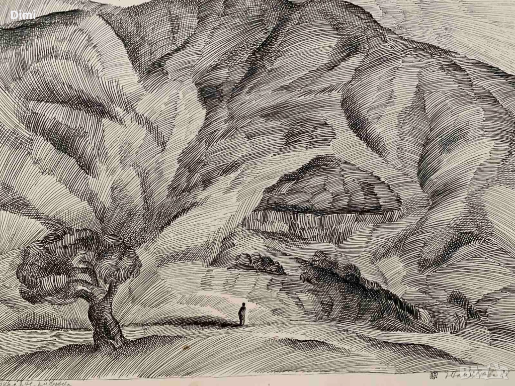 ЕЛКА НАЙДЕНОВА пейзаж – туш, снимка 1