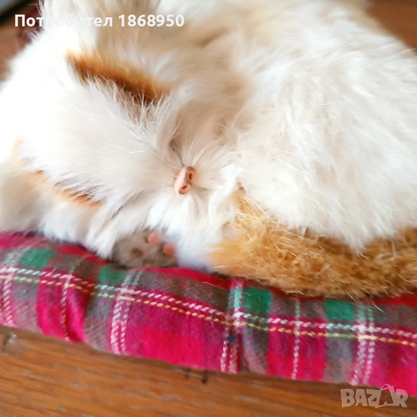 реалистично коте, снимка 1