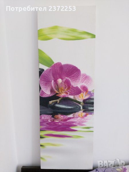Продавам ПАНО ОРХИДЕЯ, снимка 1