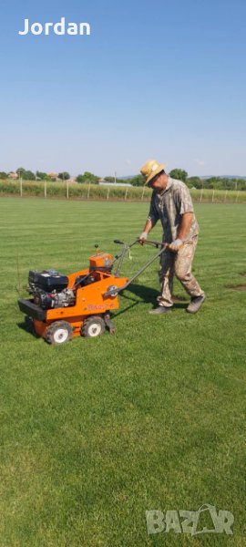 Райграс - тревни чимове. Изгодни цени., снимка 1