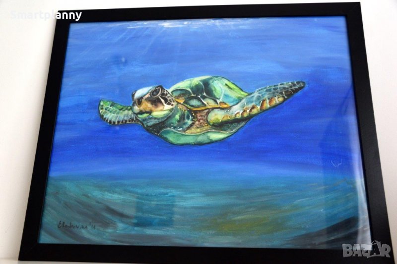 Плаваща морска костенурка, снимка 1