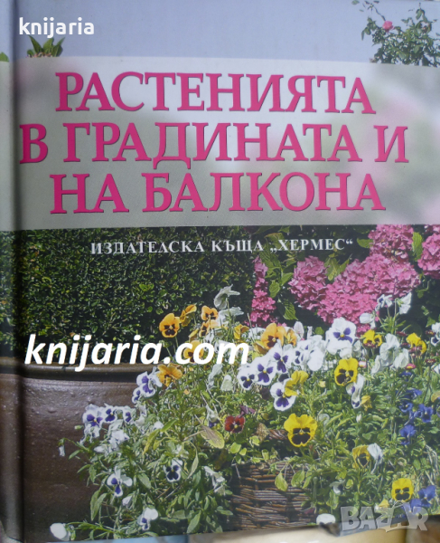 Растенията в градината и на балкона, снимка 1