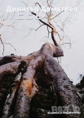 Бурен Кремена Анастасова, снимка 1