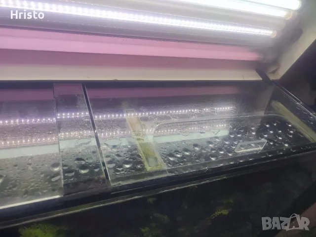 Аквариум 280л.шкаф и канистър, снимка 6 - Аквариуми - 48754907