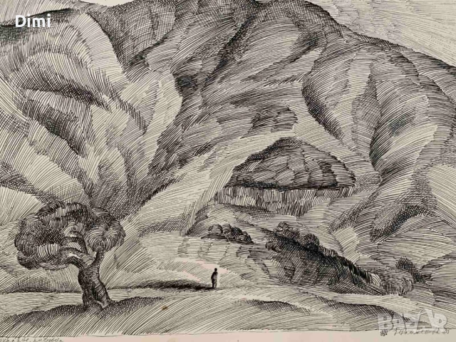 ЕЛКА НАЙДЕНОВА пейзаж – туш