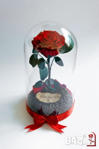 Подарък за Коледа за Жена - Естествена Вечна Роза в Голяма Стъкленица / Подарък за Съпругата, снимка 3 - Подаръци за жени - 52529750