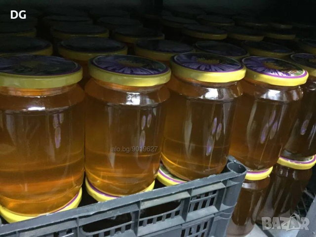 Домашен пчелен мед от производител, снимка 4 - За пчели - 44853660