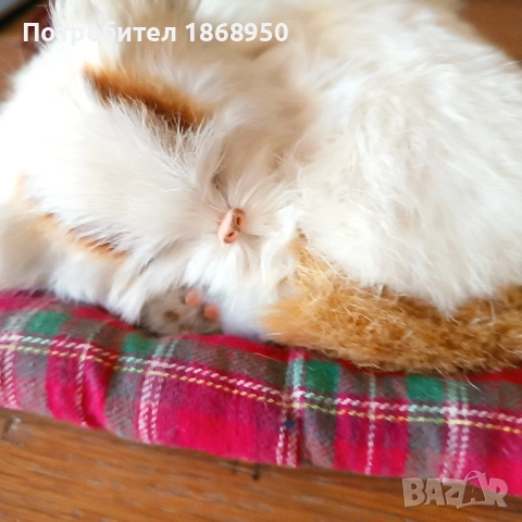реалистично коте