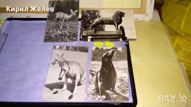 ЛОТ ЧЕТИРИ СТАРИ ПОЩЕНСКИ КАРТИЧКИ СССР ГДР ТЕМА ФАУНА и ПАМЕТНИЦИ 33068
