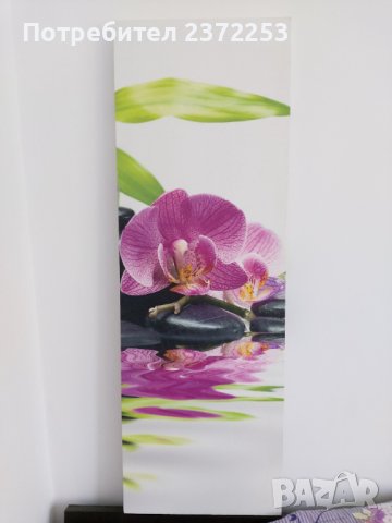 Продавам ПАНО ОРХИДЕЯ