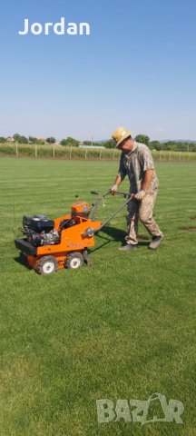 Райграс - тревни чимове. Изгодни цени., снимка 1