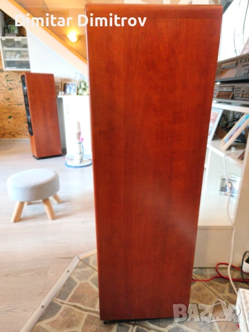 Аудиофилски тонколони Canton Ergo RC-S – Като нови, Първи собственик, Real Wood, снимка 6 - Тонколони - 53595589