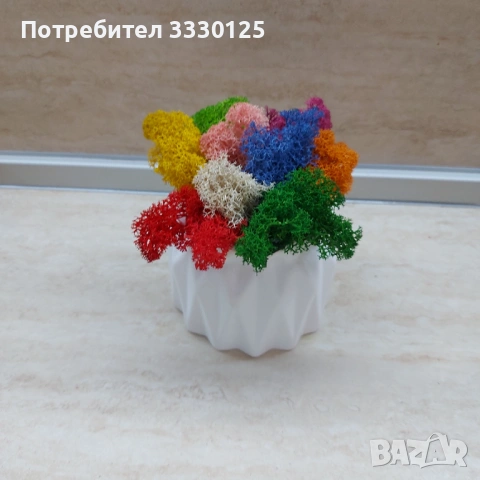 Кашпа със скандинавски мъх за 8ми март, снимка 3 - Стайни растения - 53365486