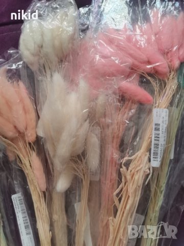 Сноп 10 бр натурален Овален лагурус Заешка опашка пухчета декорация аранжиране ваза букет цветя сухи, снимка 10 - Изкуствени цветя - 29744349