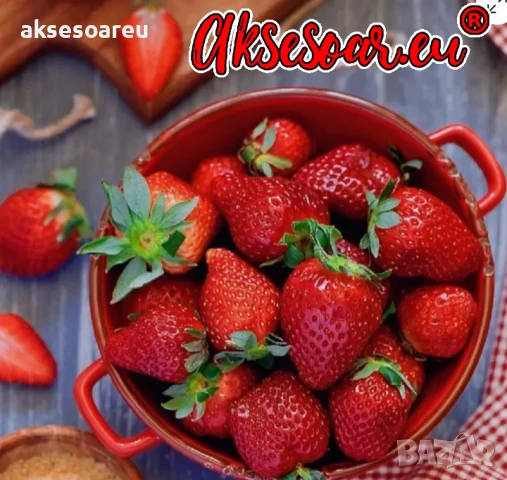 100 бр. семена от гигантска ягода градинско плодово растение сладки и вкусни червени отлични ягоди , снимка 4 - Сортови семена и луковици - 50619358