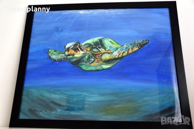 Плаваща морска костенурка