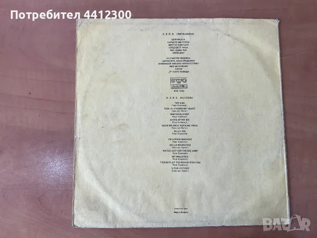 Грамофонна плоча 12”, снимка 2 - Грамофонни плочи - 49692759