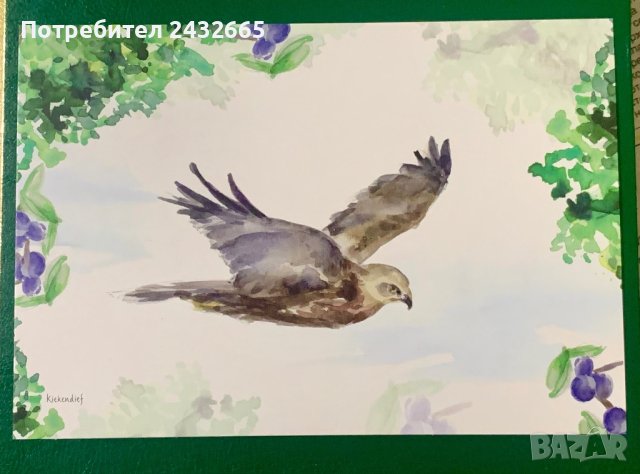 1883к. Нидерландия 2023 = “ Фауна. Природен Резерват “ De Vieden “, снимка 3 - Филателия - 43083960