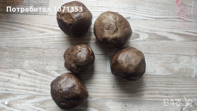 Пчелен клей