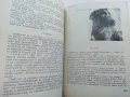 За младия Ловец и Риболовец - Б.Арнаудов,Г.Оцетов - 1975г., снимка 4