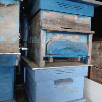 Пчелни кошери 12бр., снимка 1 - За пчели - 39301226