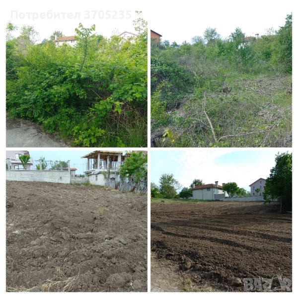 почистване на запустели парцели (имоти) рязане и изкореняване на дървета , снимка 1