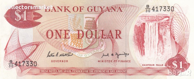 1 долар 1989, Гвиана, снимка 1