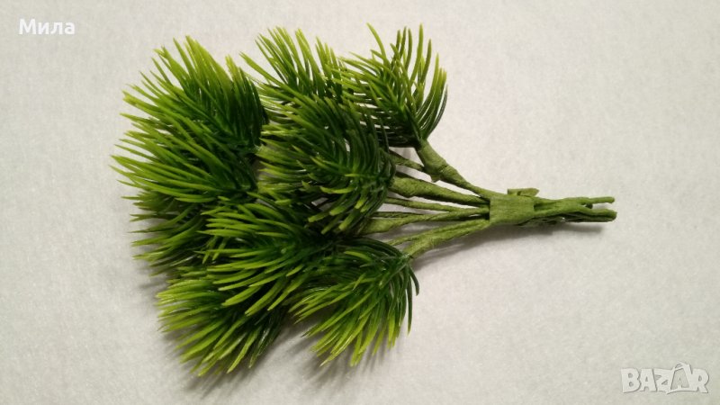 Комплект борови клонки, снимка 1
