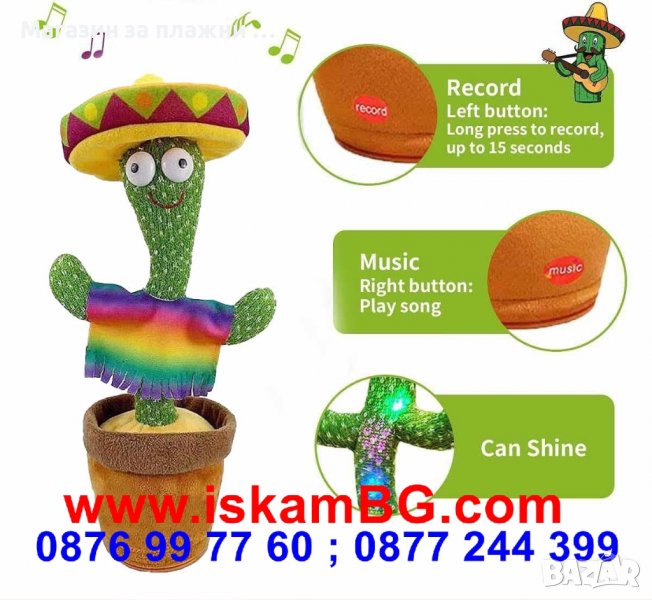 Пеещ и танцуващ кактус, забавен повтарящ на български кактус играчка - КОД 3698, снимка 1
