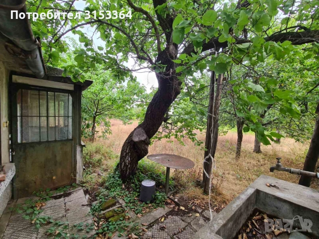 Продава се УПИ с вила и двор – с. Червен (долната част) 🌿, снимка 9 - Парцели - 51491513