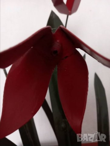 Лалета от ковано желязо, снимка 2 - Декорация за дома - 38140944