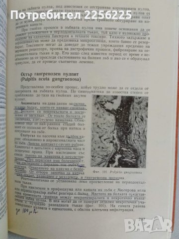 Терапевтична патология , снимка 3 - Специализирана литература - 47491657