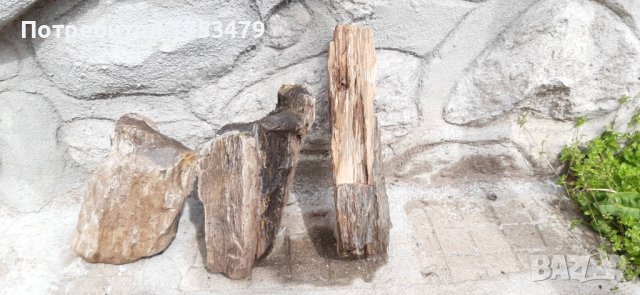 Вкаменено дърво,камено дърво, снимка 7 - Декорация за дома - 40392454