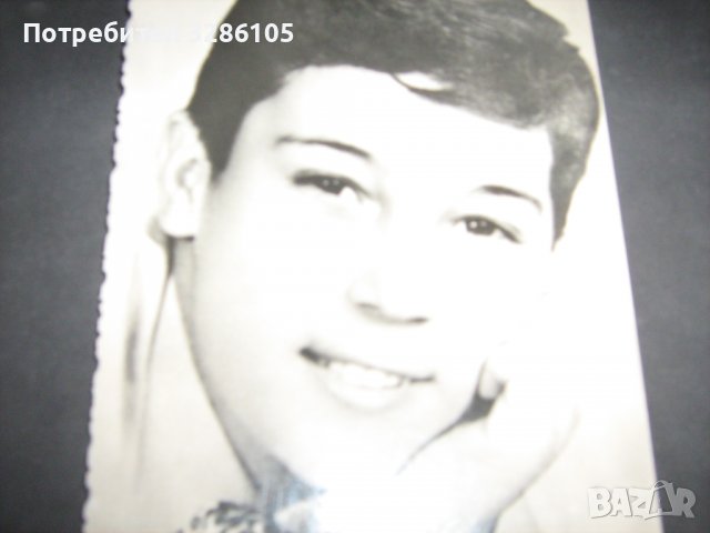 снимки-тип картичка на известни певци, снимка 3 - Колекции - 36659298