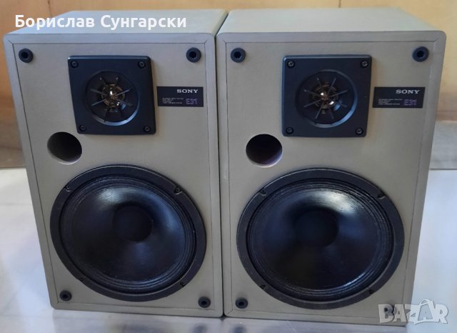 Продавам тонколони Sony SS-E31, снимка 1 - Тонколони - 37229964