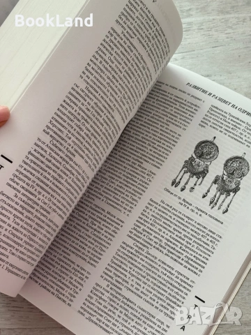 Древни общества и култури – Димитър Попов , снимка 8 - Други - 53200242