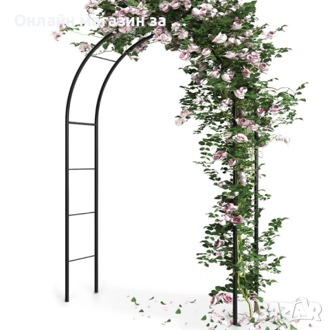 Градинска арка за увивни растения 145х38х235 см. 339398