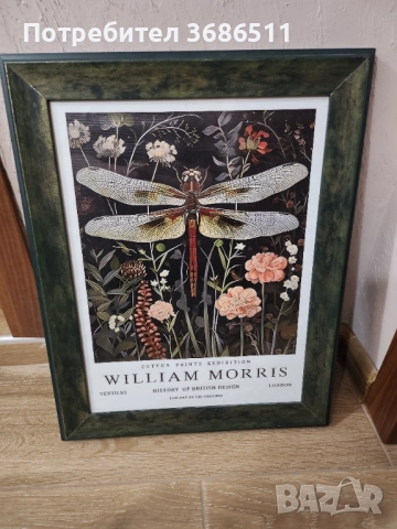 Принт на водно конче в дървена масивна рамка